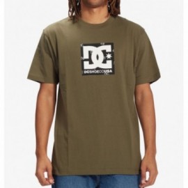 DCSQRSTRFILLHSS M TEES KYG0