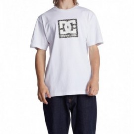 DC SQUARSTARFILL M TEES XWWS