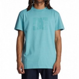 DC STAR PIGMENT M TEES BJSW